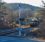 NS 6964 Pulling B-100